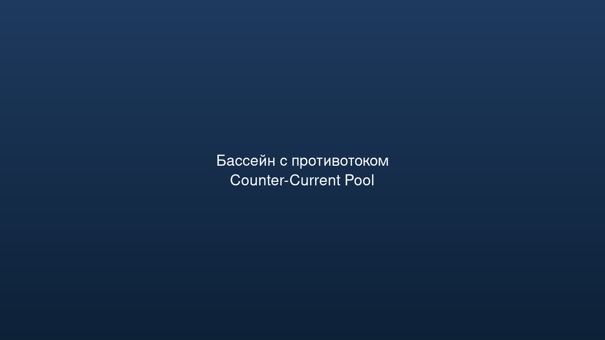 Bassein S Protivotokom